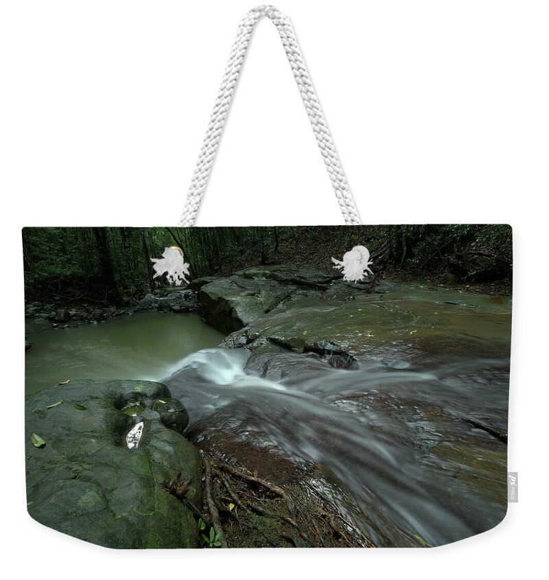 Sunshine-coast Weekender Tote Bag featuring the photograph 1904buderim7 by Nicolas Lombard