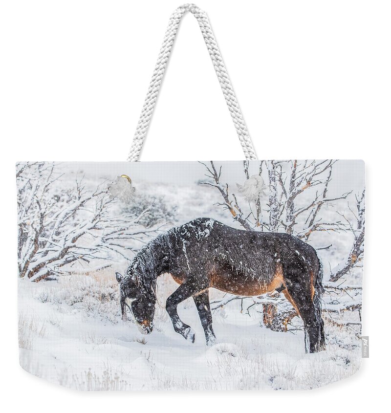  Weekender Tote Bag featuring the photograph 1dx27972 by John T Humphrey