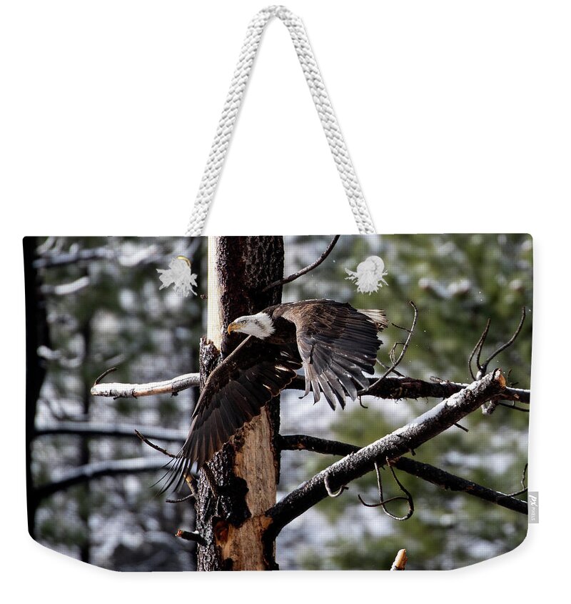  Weekender Tote Bag featuring the photograph 1dx29805 by John T Humphrey