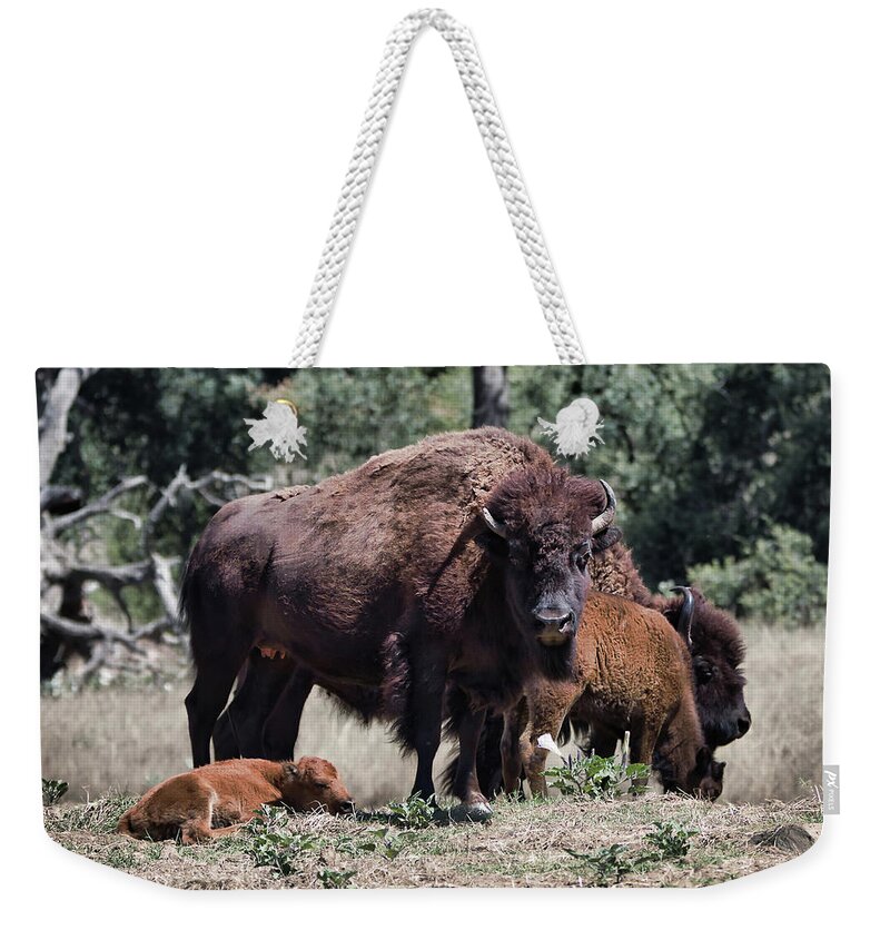 Bison Weekender Tote Bag featuring the photograph 2 And 2 by American Landscapes