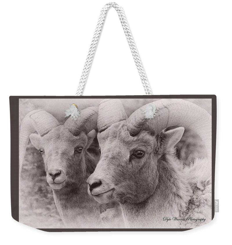 Animals Weekender Tote Bag featuring the photograph Big Horn #2 by Dyle Warren
