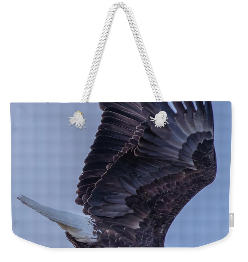 Eagle Weekender Tote Bag featuring the photograph Eagle Portrait by Randy Robbins