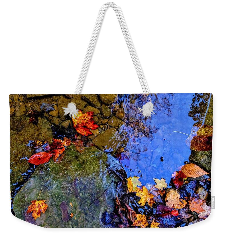  Weekender Tote Bag featuring the photograph Fall Leaves by Brad Nellis