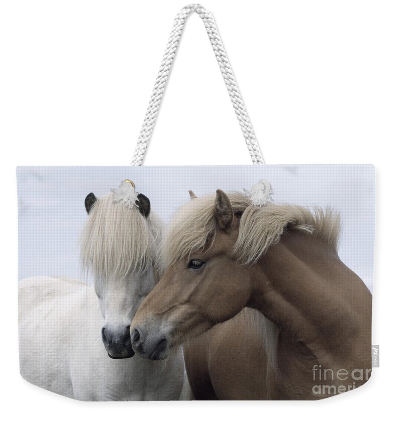 Affection Weekender Tote Bag featuring the photograph Icelandic Horses by John Daniels