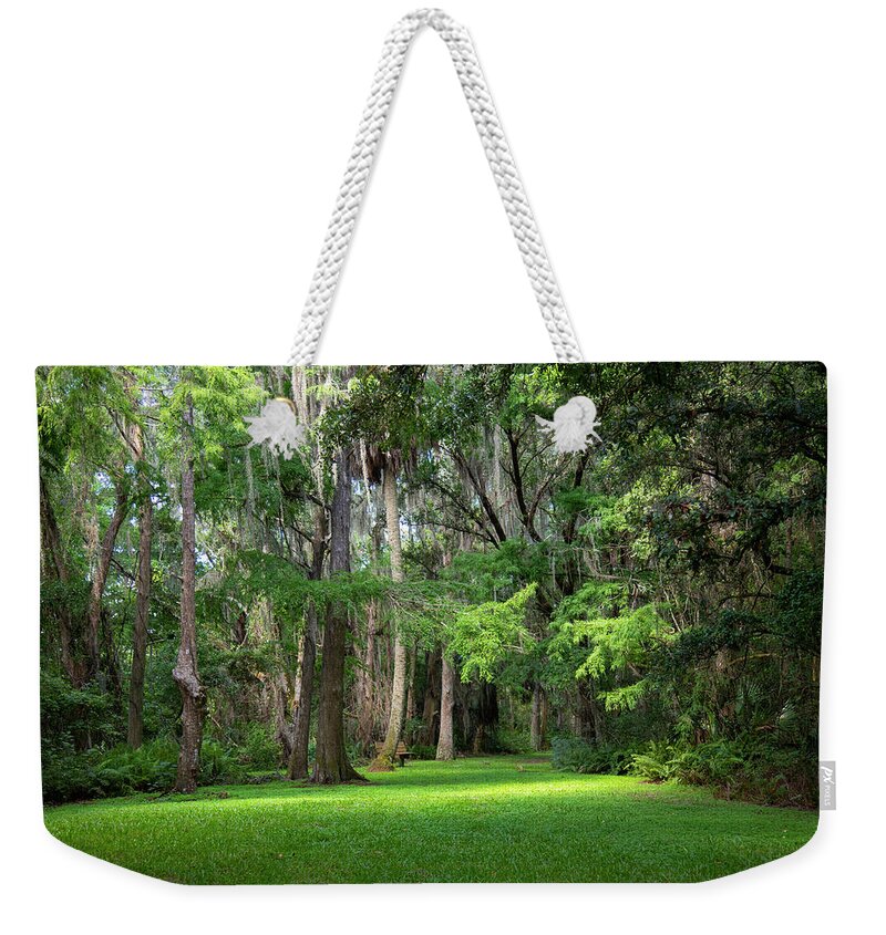 Woods Weekender Tote Bag featuring the photograph Lake Istokpoga Park #2 by Dart Humeston