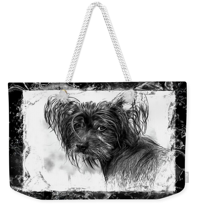Dog Weekender Tote Bag featuring the photograph Man's Best Friend #1 by Andrea Kollo