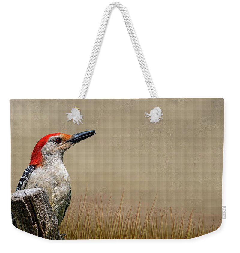 Bird Weekender Tote Bag featuring the photograph Mr. Red Belly #2 by Cathy Kovarik