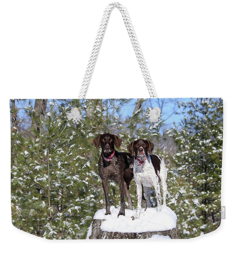 German Shorthaired Pointers Weekender Tote Bag featuring the photograph My Girls by Brook Burling