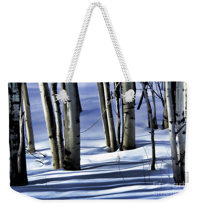 Winter Weekender Tote Bag featuring the photograph Shadows #2 by Roland Stanke