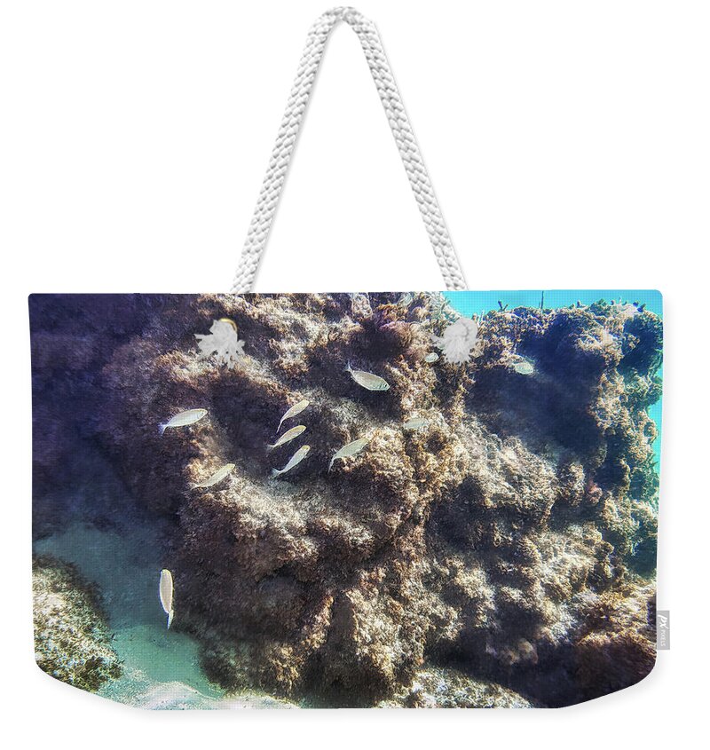 Fish Weekender Tote Bag featuring the photograph Underwater #2 by Meir Ezrachi