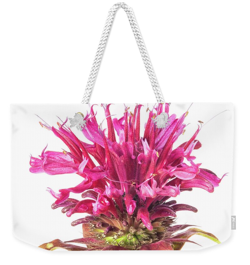 Monarda Fistulosa Weekender Tote Bag featuring the photograph Wild Bergamot also known as Bee Balm #2 by Jim Hughes