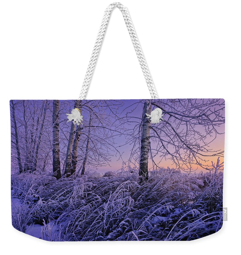 Winter Weekender Tote Bag featuring the photograph Winter Frost #2 by Dan Jurak