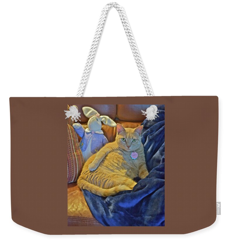 Tabby Cat Weekender Tote Bag featuring the photograph 2020 Interrupted by Janis Senungetuk
