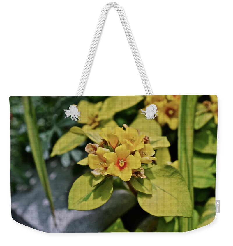 Flowers Weekender Tote Bag featuring the photograph 2020 Mid June Garden Container 1 by Janis Senungetuk