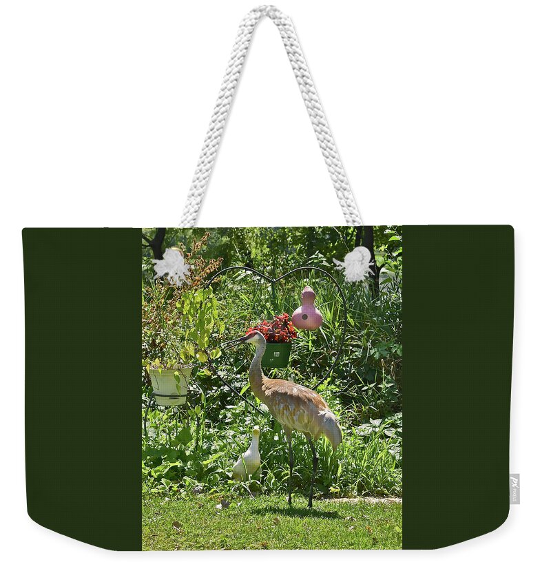 Sandhill Cranes Weekender Tote Bag featuring the photograph 2021 August Sandhill Crane by Janis Senungetuk