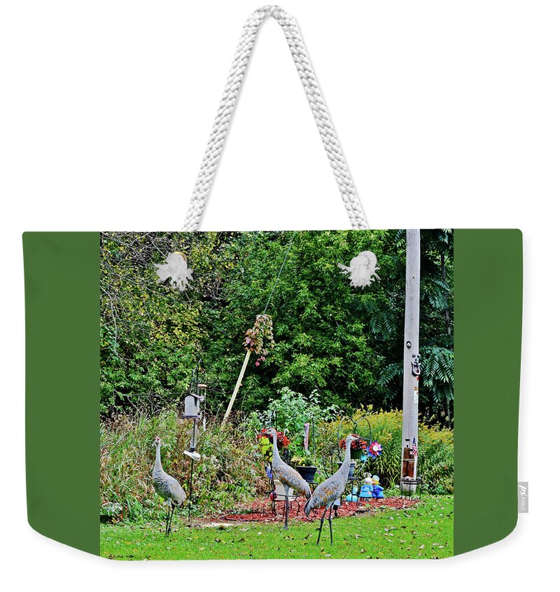 Sandhill Cranes Weekender Tote Bag featuring the photograph 2021 Fall Sandhill Cranes 1 by Janis Senungetuk