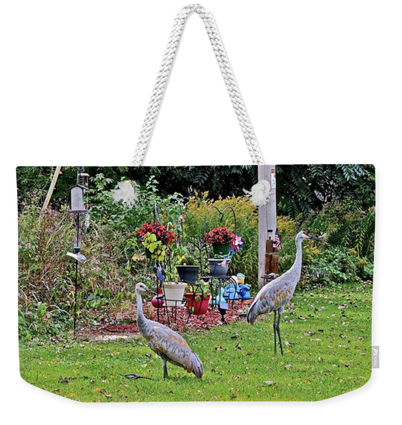 Sandhill Cranes; Birds; Backyard; Weekender Tote Bag featuring the photograph 2021 Fall Sandhill Cranes 6 by Janis Senungetuk