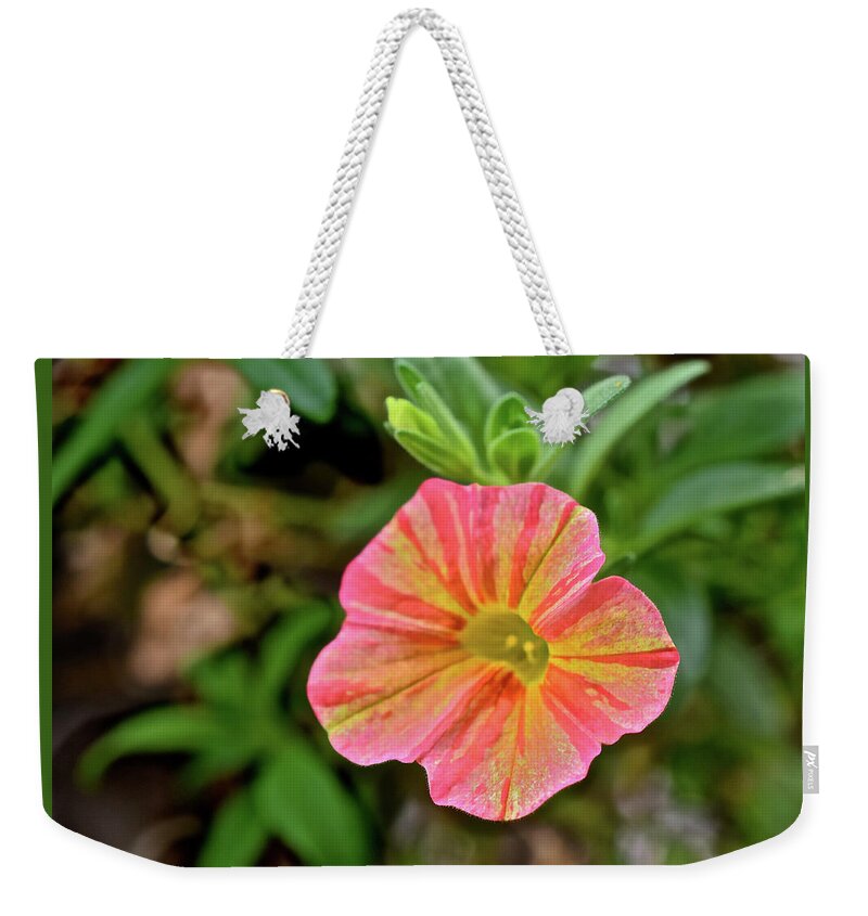 Flowers Weekender Tote Bag featuring the photograph 2021 Tropical Sunrise Greeting by Janis Senungetuk