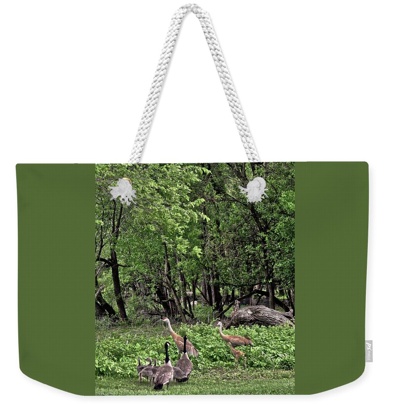 Sandhill Cranes Weekender Tote Bag featuring the photograph 2022 Busy Afternoon at the Basin by Janis Senungetuk