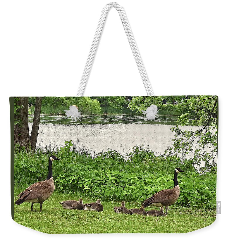 Canadian Geese Weekender Tote Bag featuring the photograph 2022 Geese and Goslings Visiting the Basin by Janis Senungetuk