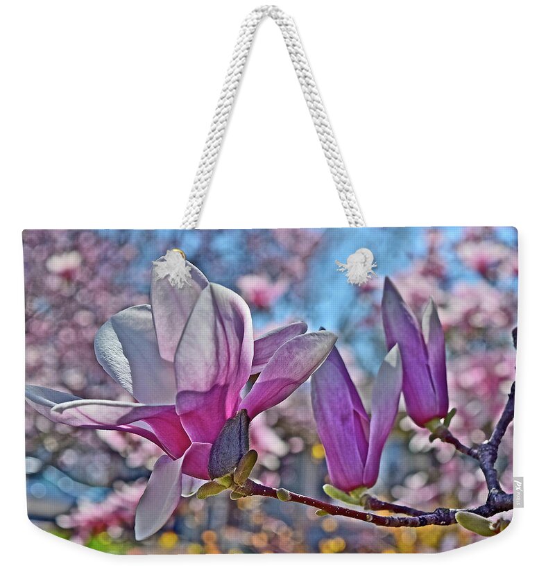 Magnolia Weekender Tote Bag featuring the photograph 2022 Vernon Magnolia Neighbor 2 by Janis Senungetuk