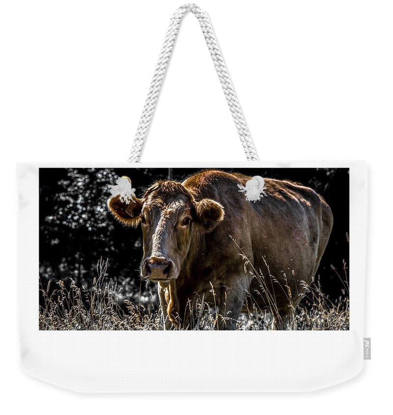 Signed Limited Edition Of 10 Weekender Tote Bag featuring the digital art 24 by Jerald Blackstock