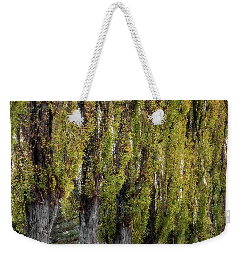 Autumn Weekender Tote Bag featuring the photograph Autumn #26 by Robert Grac