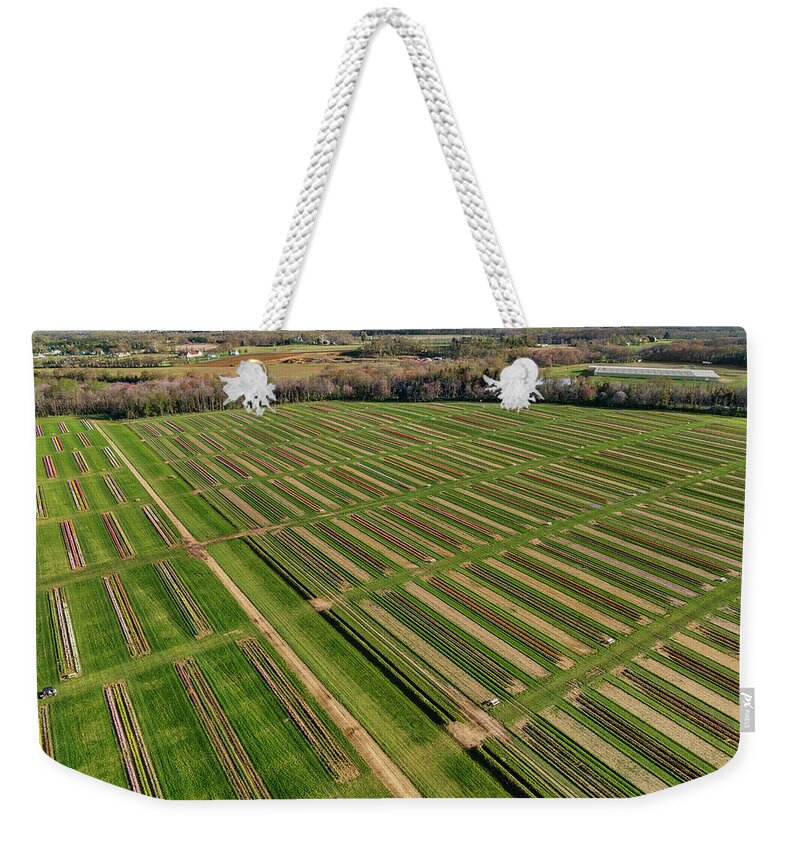 Tulip Weekender Tote Bag featuring the photograph Aerial Tulip Farm #3 by Susan Candelario