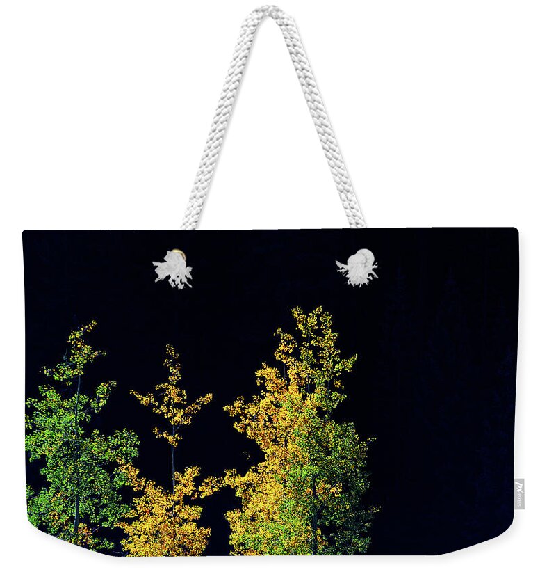 Co Weekender Tote Bag featuring the photograph Fall colors, Colorado #7 by Doug Wittrock