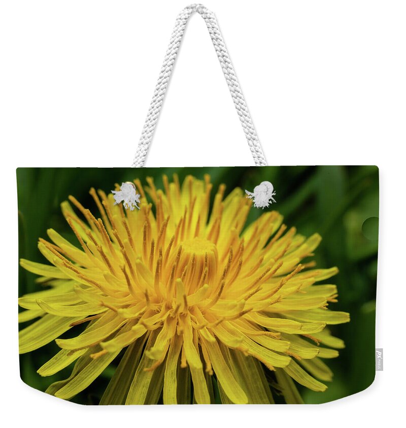 Dandelion Weekender Tote Bag featuring the photograph Dandelion #3 by SAURAVphoto Online Store