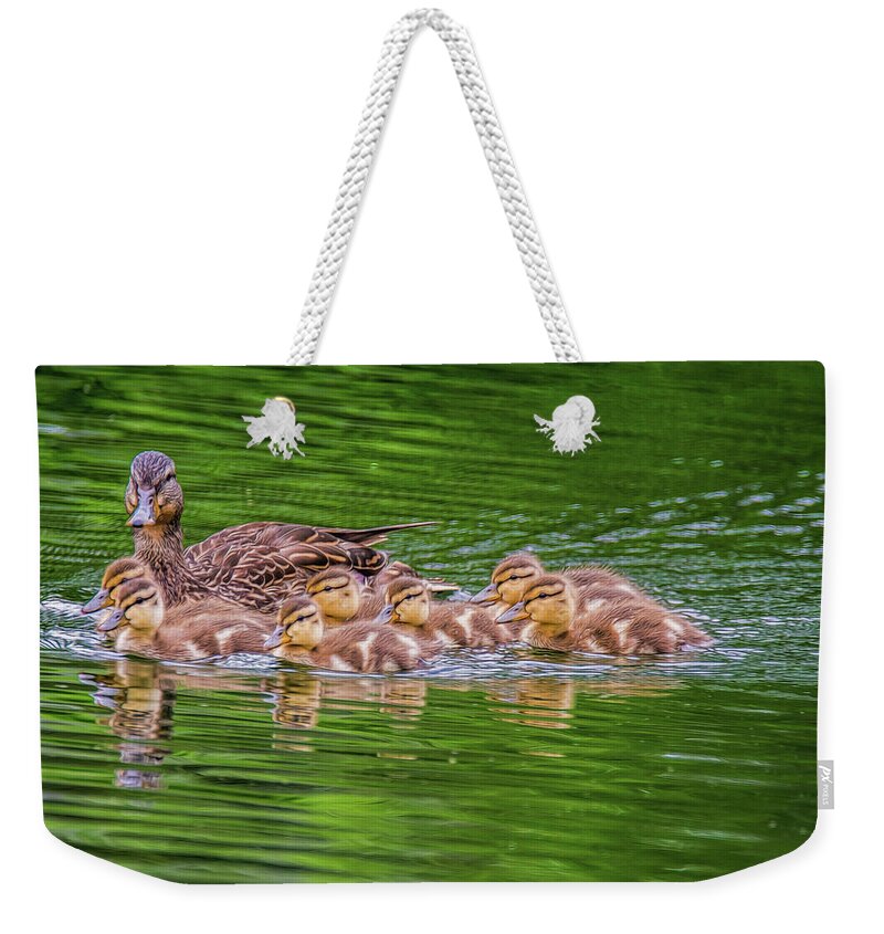 Ducklings Weekender Tote Bag featuring the photograph Family Outing #3 by Cathy Kovarik