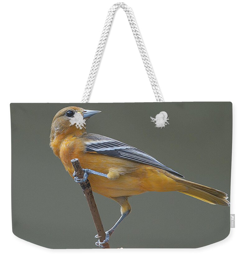 Female Oriole Weekender Tote Bag featuring the photograph Female Oriole #3 by Diane Giurco