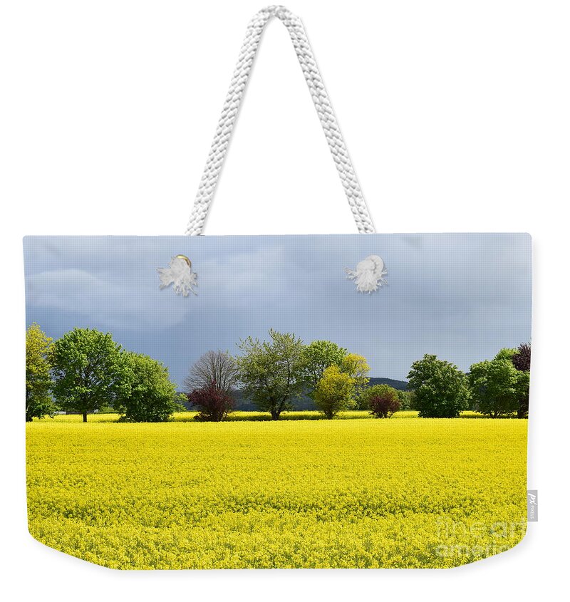 Rapeseed Weekender Tote Bag featuring the photograph Fields of gold #3 by Joe Cashin