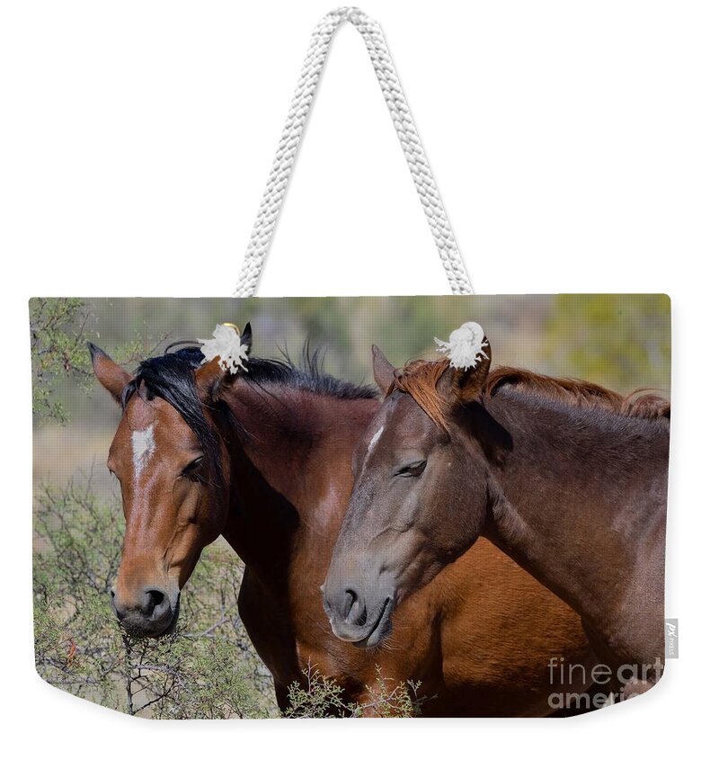 Salt River Wild Horses Weekender Tote Bag featuring the digital art Salt River Wild Horses #3 by Tammy Keyes