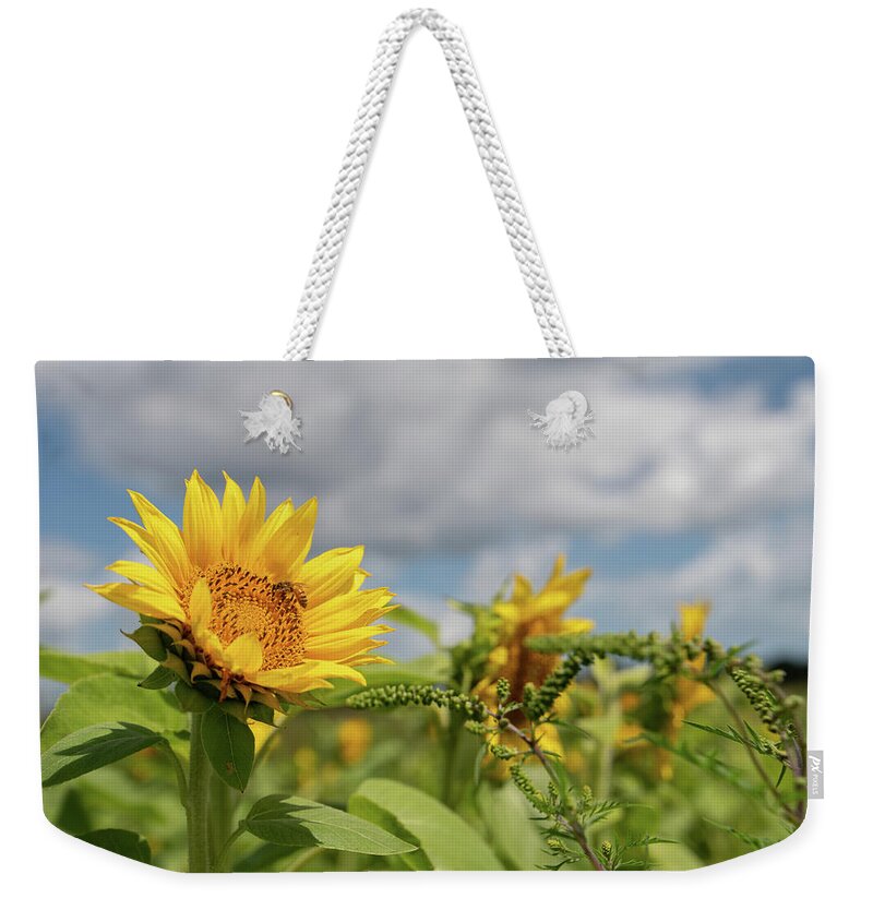 Sunflower Weekender Tote Bag featuring the photograph Sunflower with Honeybee #2 by Carolyn Hutchins