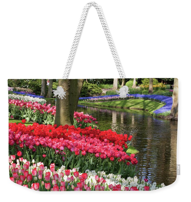 Keukenhof Weekender Tote Bag featuring the photograph Swathes of colour #3 by Shirley Mitchell