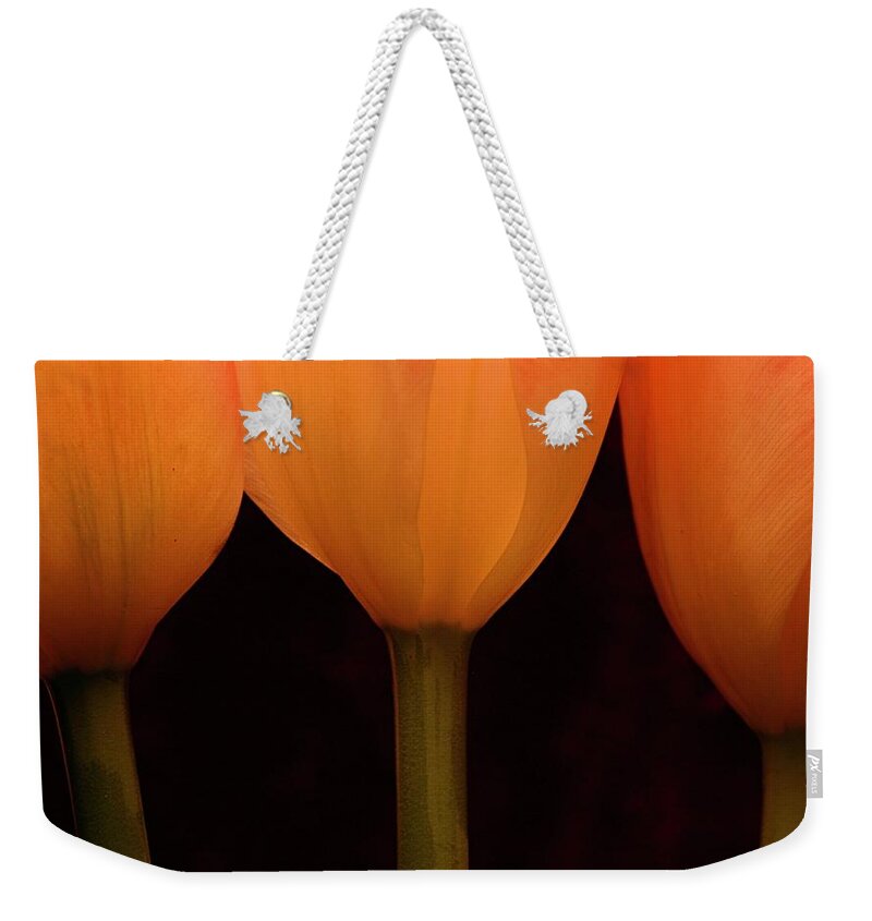 Macro Weekender Tote Bag featuring the photograph 3 Tulips by Julie Powell