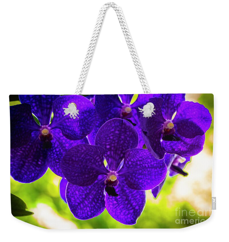 Background Weekender Tote Bag featuring the photograph Purple Orchid Flowers #34 by Raul Rodriguez