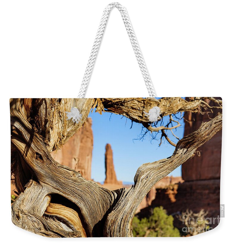 Arches National Park Weekender Tote Bag featuring the photograph Arches National Park #35 by Raul Rodriguez