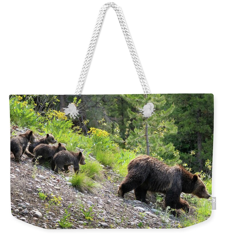 Bear Weekender Tote Bag featuring the photograph 4 Cubs with Mama Grizzly Bear #399 by Wesley Aston