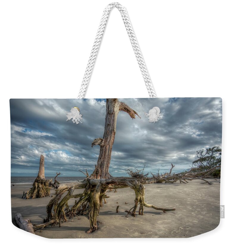 Beach Weekender Tote Bag featuring the photograph Driftwood Beach by Carolyn Hutchins