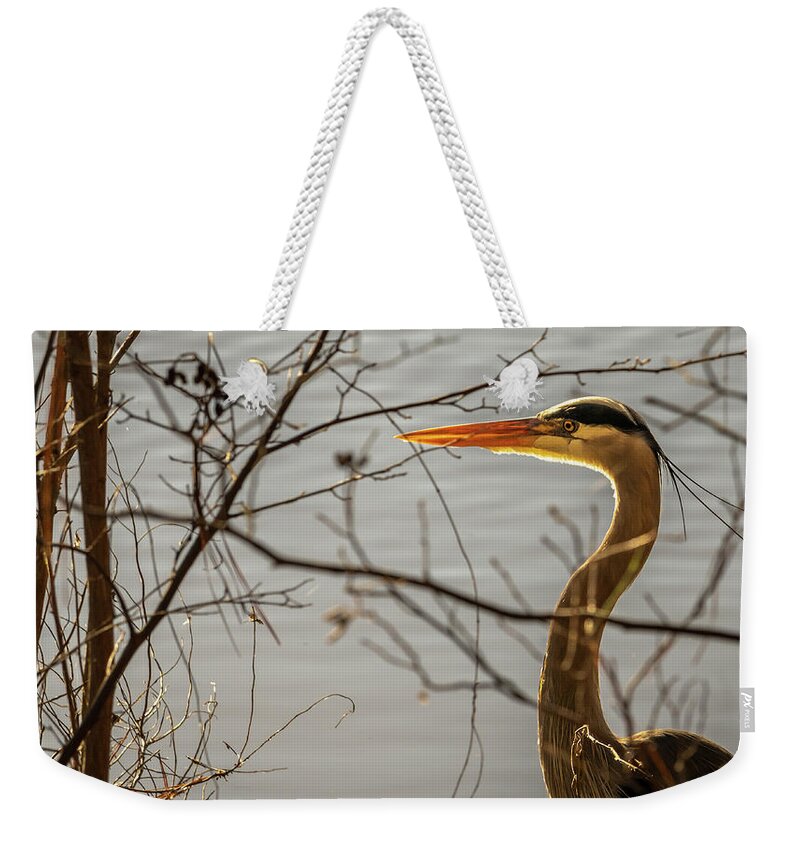 Wildlife Weekender Tote Bag featuring the photograph Great Blue Heron #4 by Rick Nelson