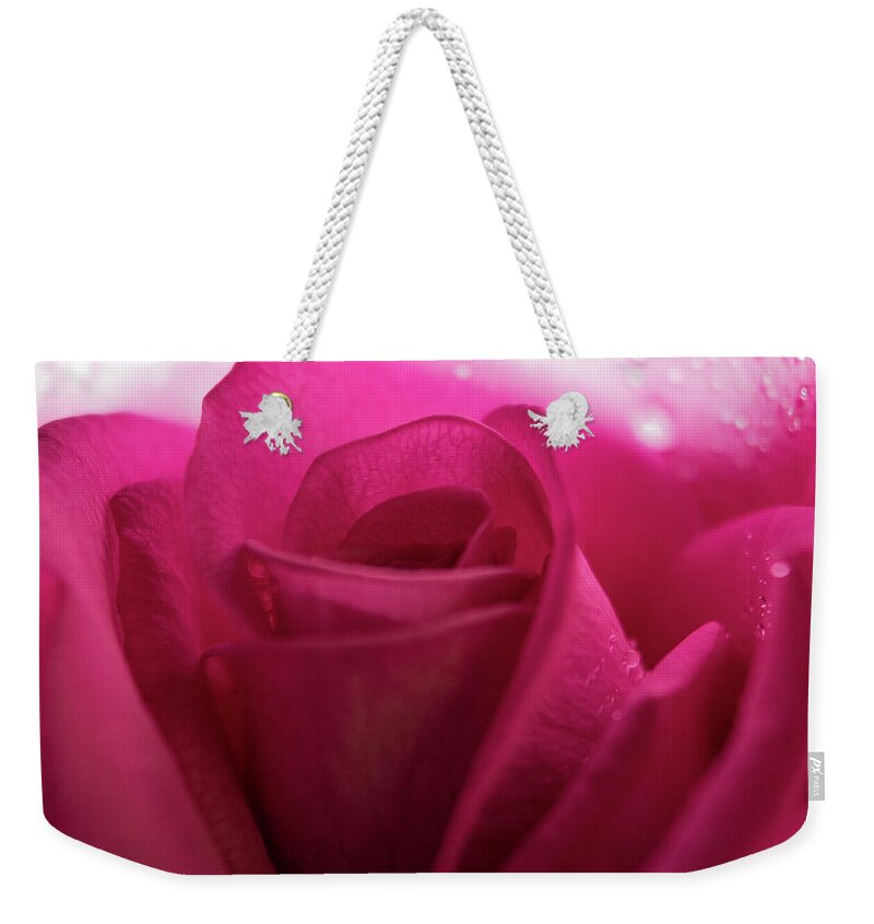 Beauty Weekender Tote Bag featuring the photograph Magenta Rose Macro #4 by K Bradley Washburn