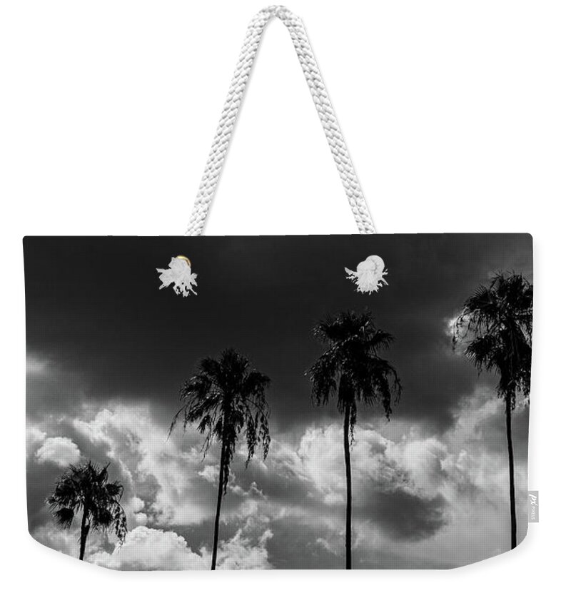 Florida Weekender Tote Bag featuring the photograph 4 Palm trees BW by Marian Tagliarino