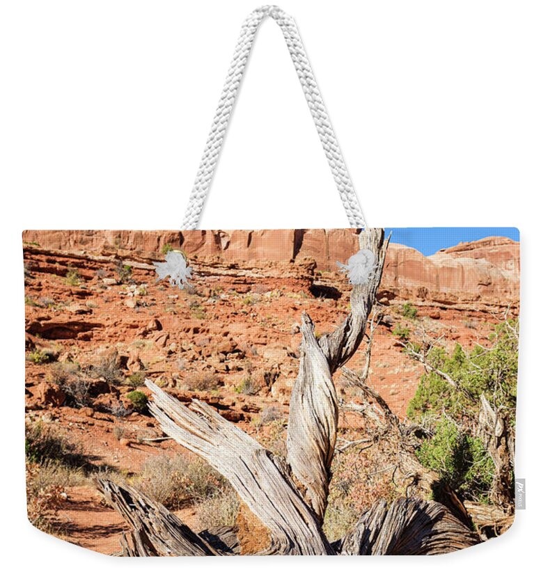 Arches National Park Weekender Tote Bag featuring the photograph Arches National Park #44 by Raul Rodriguez