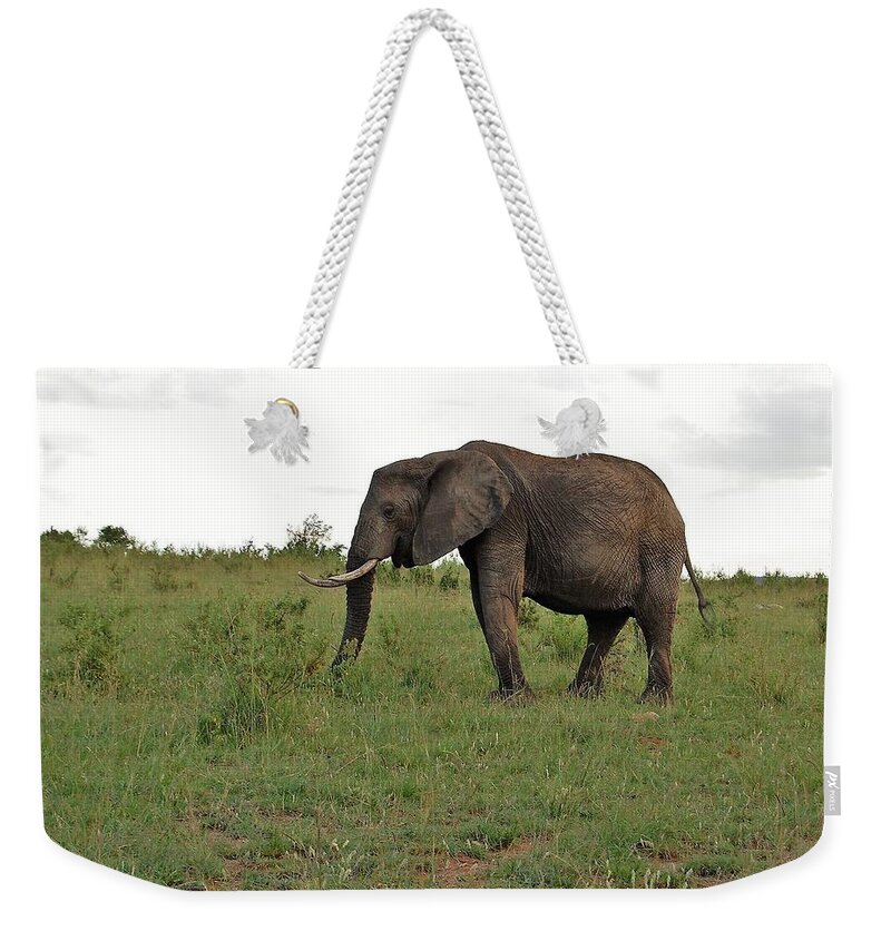  Weekender Tote Bag featuring the photograph 4k by Jay Handler
