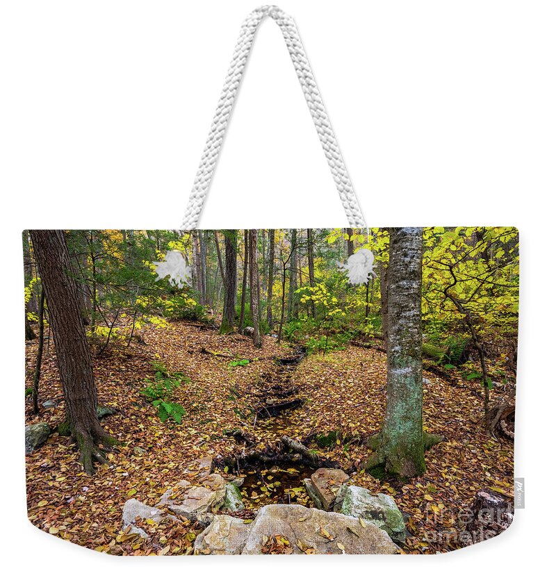 2018 Weekender Tote Bag featuring the photograph Appalachian Autumn by Stef Ko