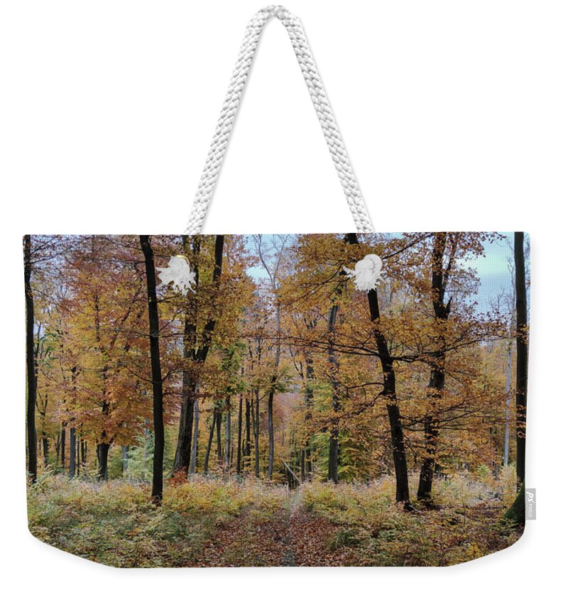 Autumn Colors Weekender Tote Bag featuring the photograph Autumn in the Forest #6 by Robert Grac