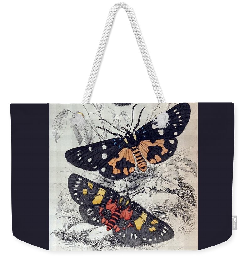 Moths Weekender Tote Bag featuring the mixed media Exotic Moths. William Jardine #5 by World Art Collective