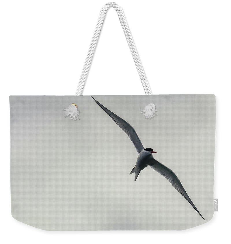 Ushuaia Weekender Tote Bag featuring the photograph Ushuaia, Argentina #54 by Paul James Bannerman